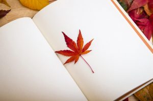 Maple leaf on top of a blank book